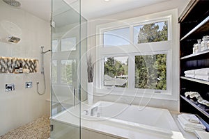 Luxury bathroom interior with large walk-in shower