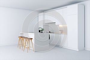 Contemporary minimalistic kitchen in new white interior