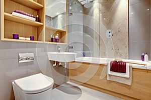 Contemporary modern bathroom