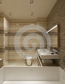 Contemporary style bathroom