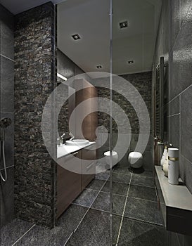 Contemporary style bathroom