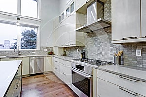 Contemporary white kitchen with high-end kitchen appliances