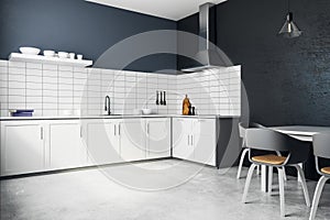 Contemporary white kitchen interior