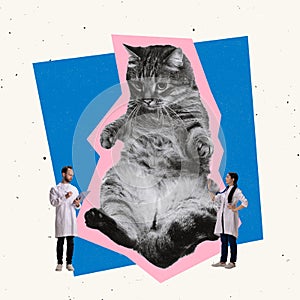 Contemporray art collage. Vet clinic. Veterinarians checking cat& x27;s health, listening to lungs