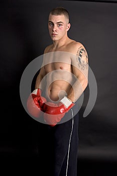 Contender photo