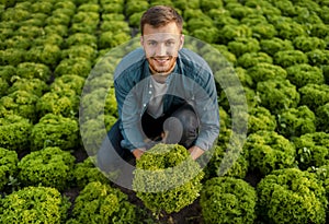 Contented Farmer Lad Holding Lettuce On Field