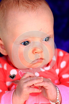 Contented Newborn photo