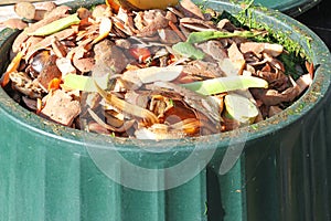 Contents of a compost bin. Recycling vegetable waste. photo