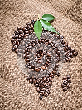 Continent Africa and the Island of Madagascar from fresh roasted Grains of Robusta Arabica Coffee