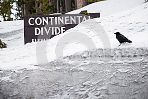 Continental divide sign on mountain in snow - Yellowstone Nation