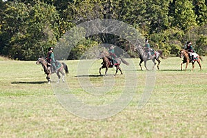 Continental Dragoons