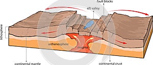 Continental plates-divergence photo