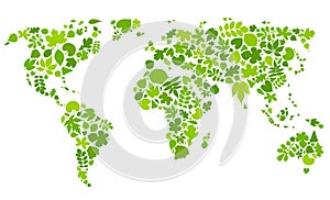 Continents of green leaves.