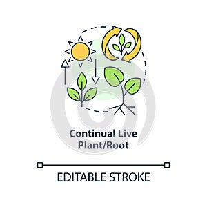 Continual live plant and root concept icon