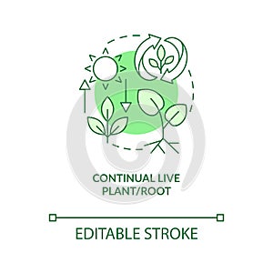 Continual live plant and root green concept icon