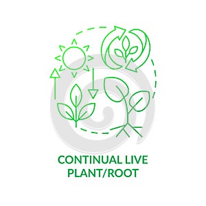 Continual live plant and root green gradient concept icon