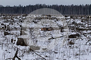 Continuous deforestation in winter