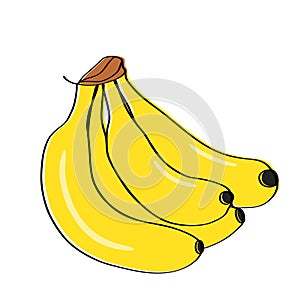 continuous drawing of bananas with one line.