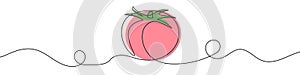 Continuous editable drawing of tomato icon. Red tomato symbol in one line style.