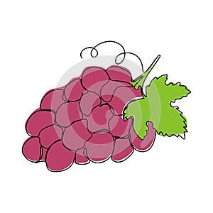 Continuous line art drawing grape fruit