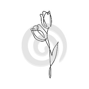 Continuous line art drawing of minimal flower hand drawn vector illustration single one design