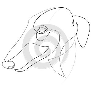 Continuous line Borzoi. Single line minimal style Greyhound dog vector illustration. Abstract pet portrait
