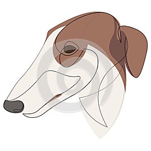 Continuous line Borzoi. Single line minimal style Greyhound dog vector illustration. Abstract pet portrait