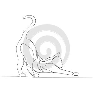 Continuous line curving cat. New minimalism. Vector illustration.