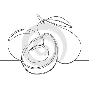 Continuous line drawing of avocado icon vector illustration concept