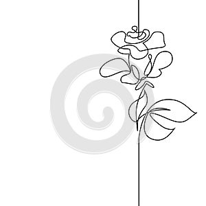 Continuous line drawing of beautiful flower