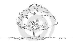 continuous line drawing of big tree illustration