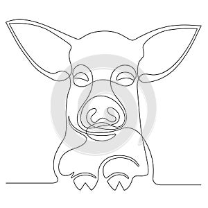 Continuous line drawing of a face pig.