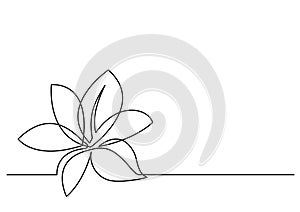 Continuous line drawing of flower