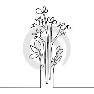 Continuous line drawing of flowers photo