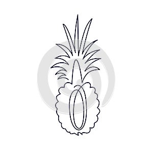 Continuous line drawing of half pineapple concept of fruit vector illustration