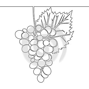 Continuous line drawing healthy organic grapes Fresh tropical fruitage icon vector illustration concept