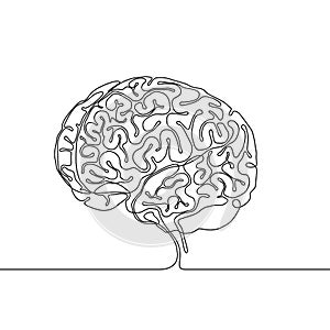 Continuous line drawing of a human brain with gyri and sulci photo