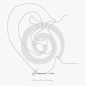 Continuous line drawing. human ear. simple vector illustration. human ear concept hand drawing sketch line