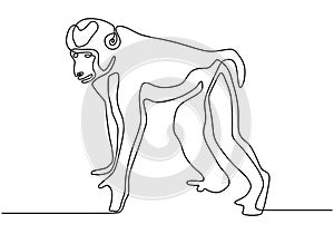 Continuous line drawing of monkey animal vector. Hand drawn wildlife theme minimalism style photo