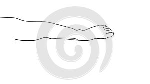 Continuous line drawing of naked women legs. One line drawing abstract feet. minimalist contour