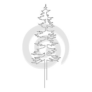 Continuous line drawing of pine. Fir-tree. Black isolated on white background. Hand drawn christmas tree vector