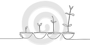 continuous line drawing of plant growth processes photo
