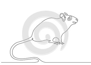 Continuous line drawing rat mouse