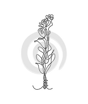 Continuous line drawing of rose flowers, hand drawn vector one line continuous drawing of flowers