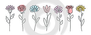 Continuous line drawing set of flowers. Plants one line illustration. Minimalist Prints vector illustration