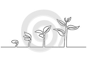 Continuous line drawing of step of tree growth. Plants grow isolated on white background or plant seed, growing and cultivation