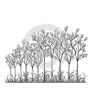 Continuous Line Drawing of Tree Growth Steps for Plant Lovers.