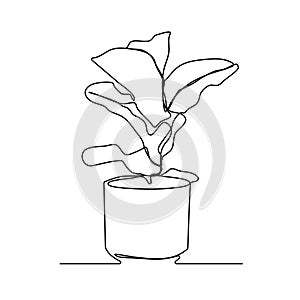 Continuous line drawing of tree on white background. Vector illustration