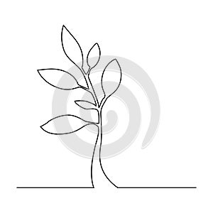 Continuous line drawing of tree on white background. Vector illustration