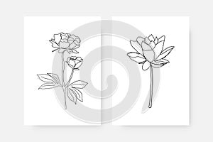 Continuous line flower posters. Abstract set of wall decor with one line botanical drawing minimalist simple style. Vector art